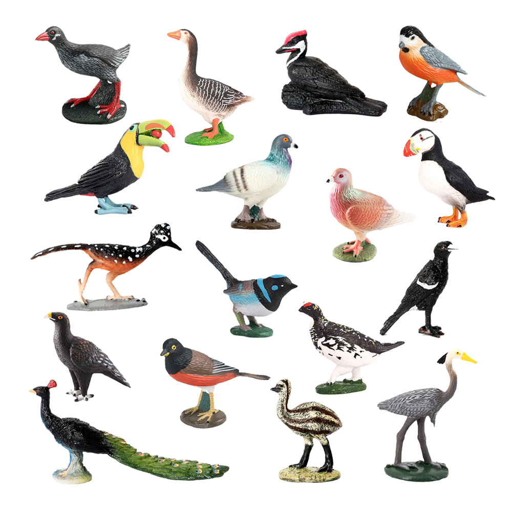 นกฮูก ฟลามิงโก ไก่งวง ทูแคน นก - Kids Toys Under 200 บทวิจารณ์และราคา