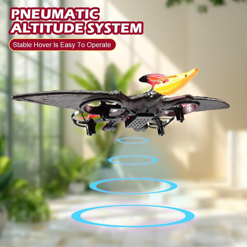 RC เครื่องบิน Pterosaur 2.4G 6 - Kids Toys Under £5 บทวิจารณ์และราคา